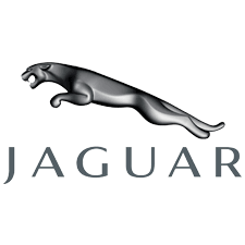 Jaguar Car Paint Paint