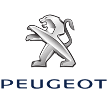 Peugeot Car Paint Paint