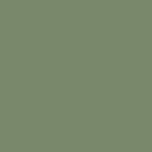 BS 381C Aircraft Grey Green 283 Spray Paint