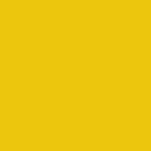 BS 381C Canary Yellow 309