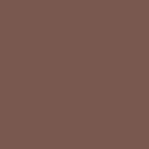 BS 381C Dark Camouflage Brown 436 Spray Paint