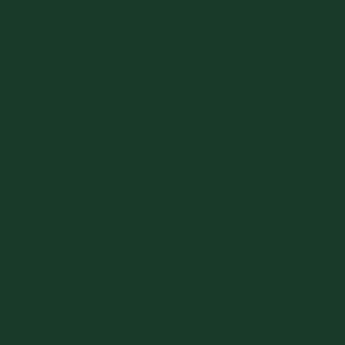 BS 381C Deep Brunswick Green 227 Spray Paint