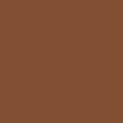 BS 381C Leaf Brown 489 Spray Paint