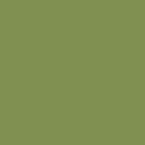 BS 381C Light Olive Green 278 Spray Paint