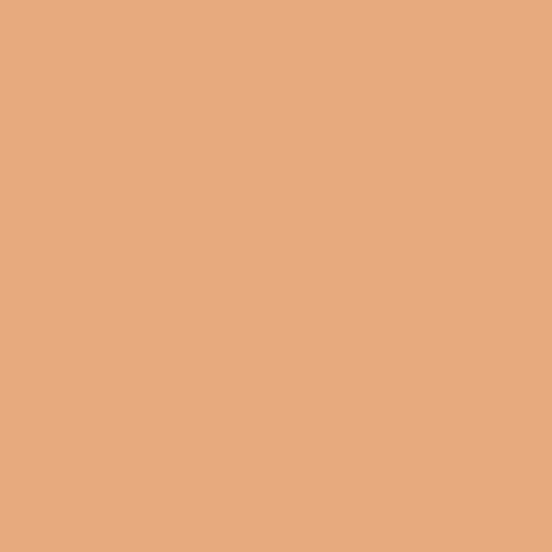 BS 381C Salmon Pink 447 Spray Paint