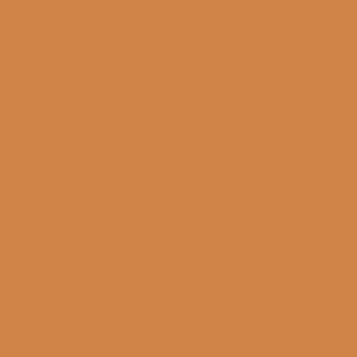 Dulux Trade 80YR 31/508 - Roasted pumpkin 4