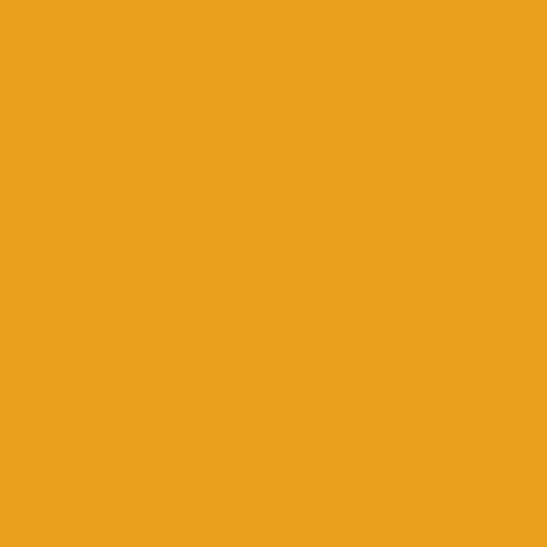 Federal Standard 595 A-13538 - Giallo