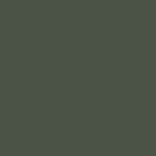 Federal Standard 595 A-34094 - Green Matt