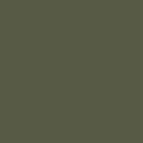 Federal Standard 595 A-34102 - Green Mat