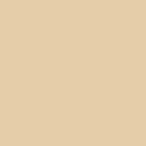 Federal Standard 595 B-13711 - Beige