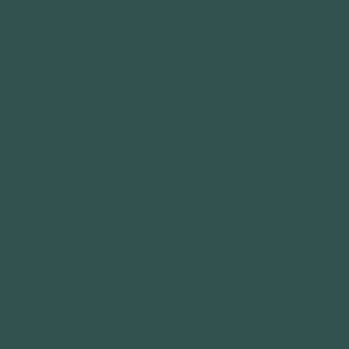 Federal Standard 595 B-34058 - Dark Green Spray Paint