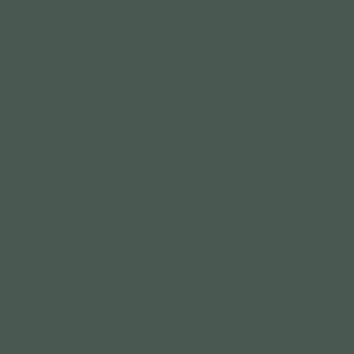 Federal Standard 595 B-34092 - Forest Green Matt