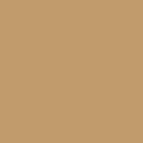 Master Chroma CN8105 - Brown 8105 Spray Paint