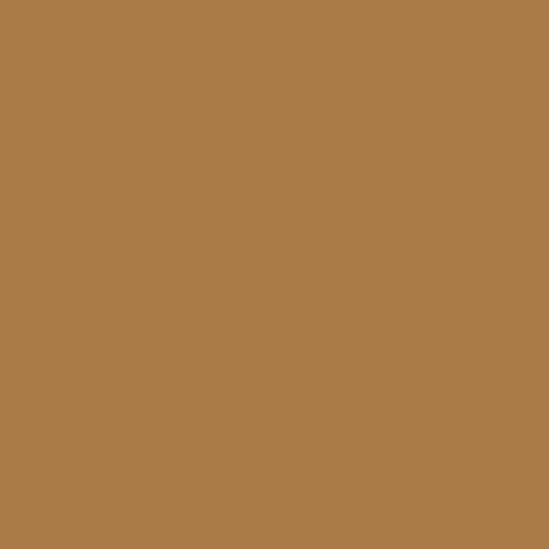 Master Chroma CN8325 - Brown 8325 Spray Paint