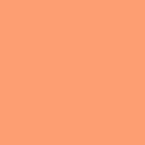 Pantone 163