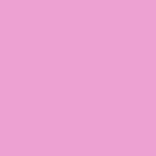 Pantone 244