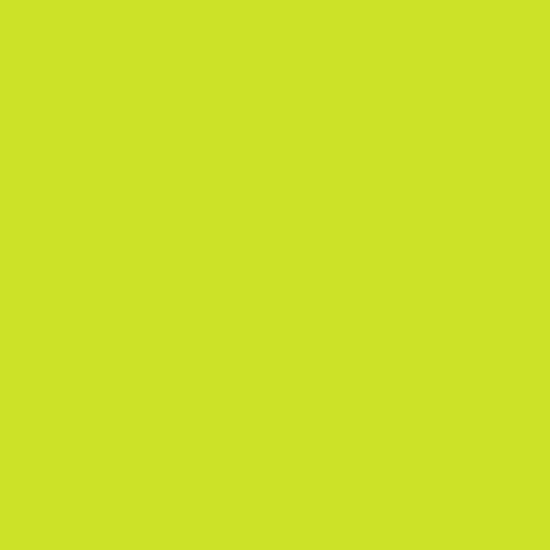 Pantone 381