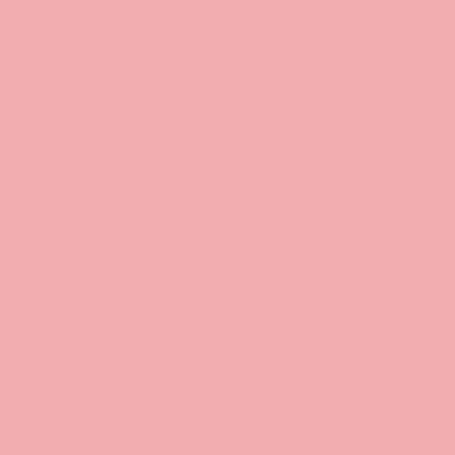 Pantone 494