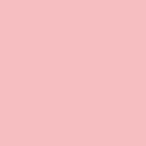 Pantone 495