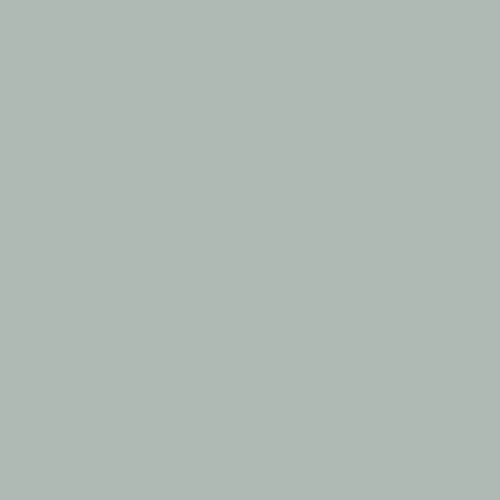 Pantone 5507