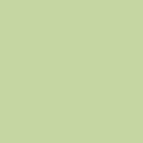 Pantone 578