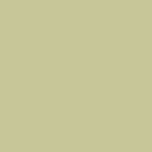 Pantone 5787