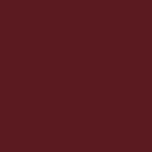 RAL 3005 Wine Red  Spray Paint