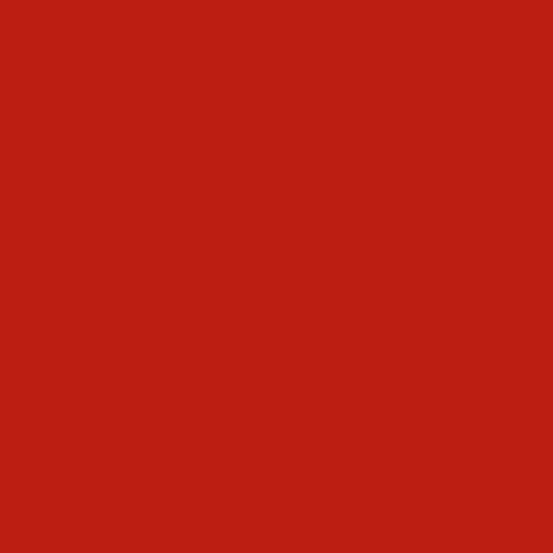 RAL 3020 Traffic Red Paint
