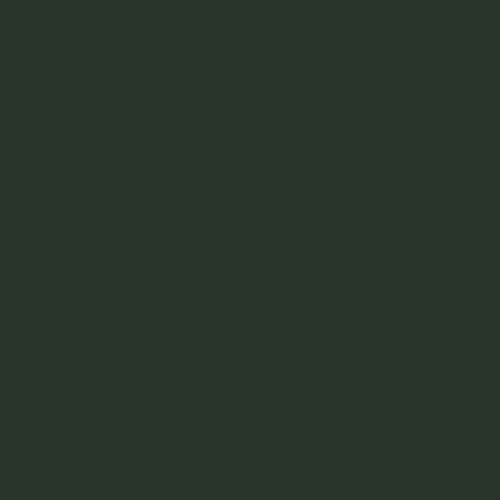 RAL 6009 Fir Green Paint