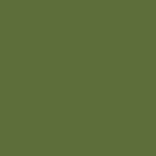 RAL 6025 Fern Green  Spray Paint