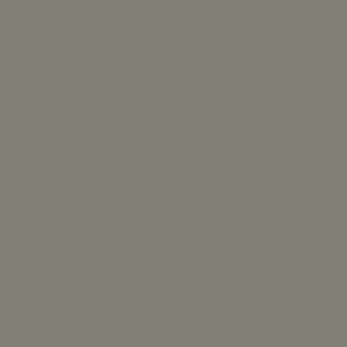 RAL 7023 Concrete Grey Paint