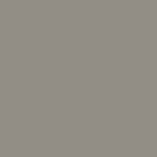 RAL 7030 Stone Grey  Spray Paint