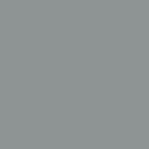 RAL 7045 Telegrey 1 Paint