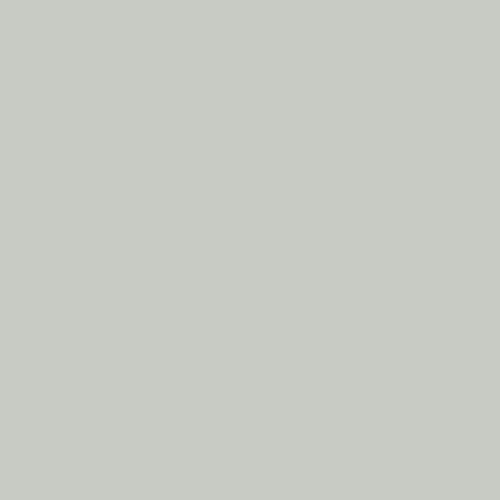 RAL 9018 Papyrus White Paint