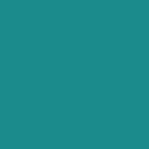 RAL Effect 710-3 - Turquoise
