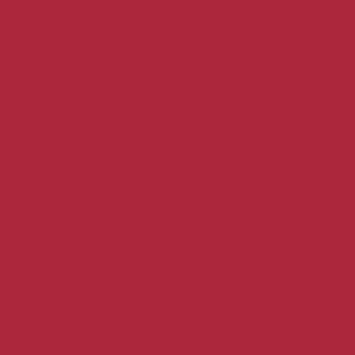 RAL Metallic 3027 Raspberry Red Paint