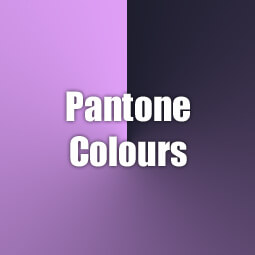 Pantone Spray Paint